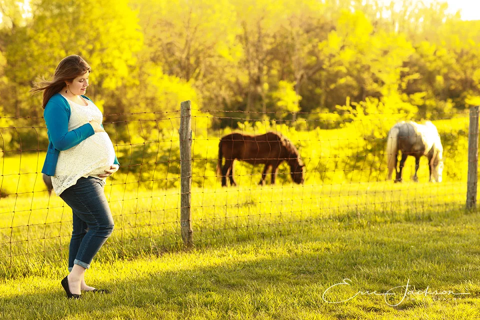 cierra horses 1.jpg