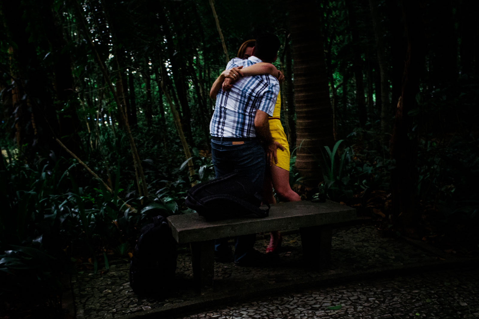  Meeting at the park -&nbsp;Parque Trianon 
