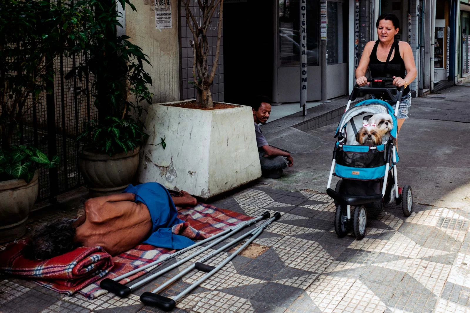  A dog's life -&nbsp;Higienópolis 