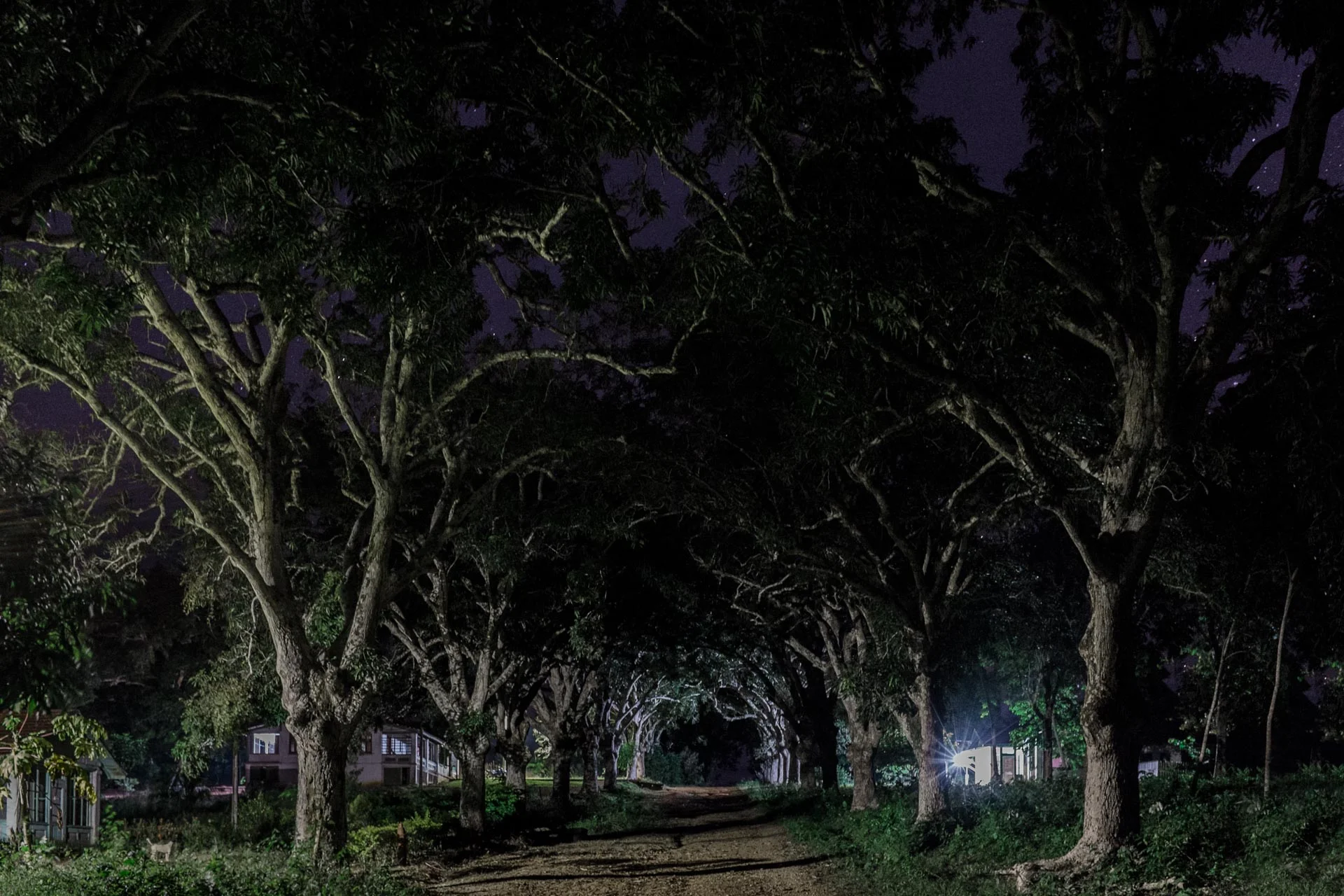 Fordlândia  (4).jpg