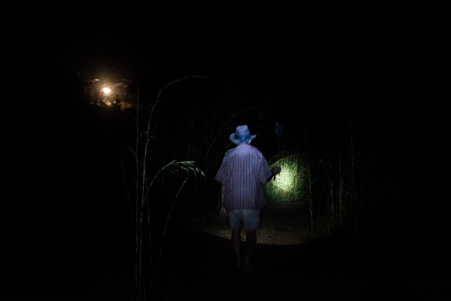 Fordlândia  (11).jpg