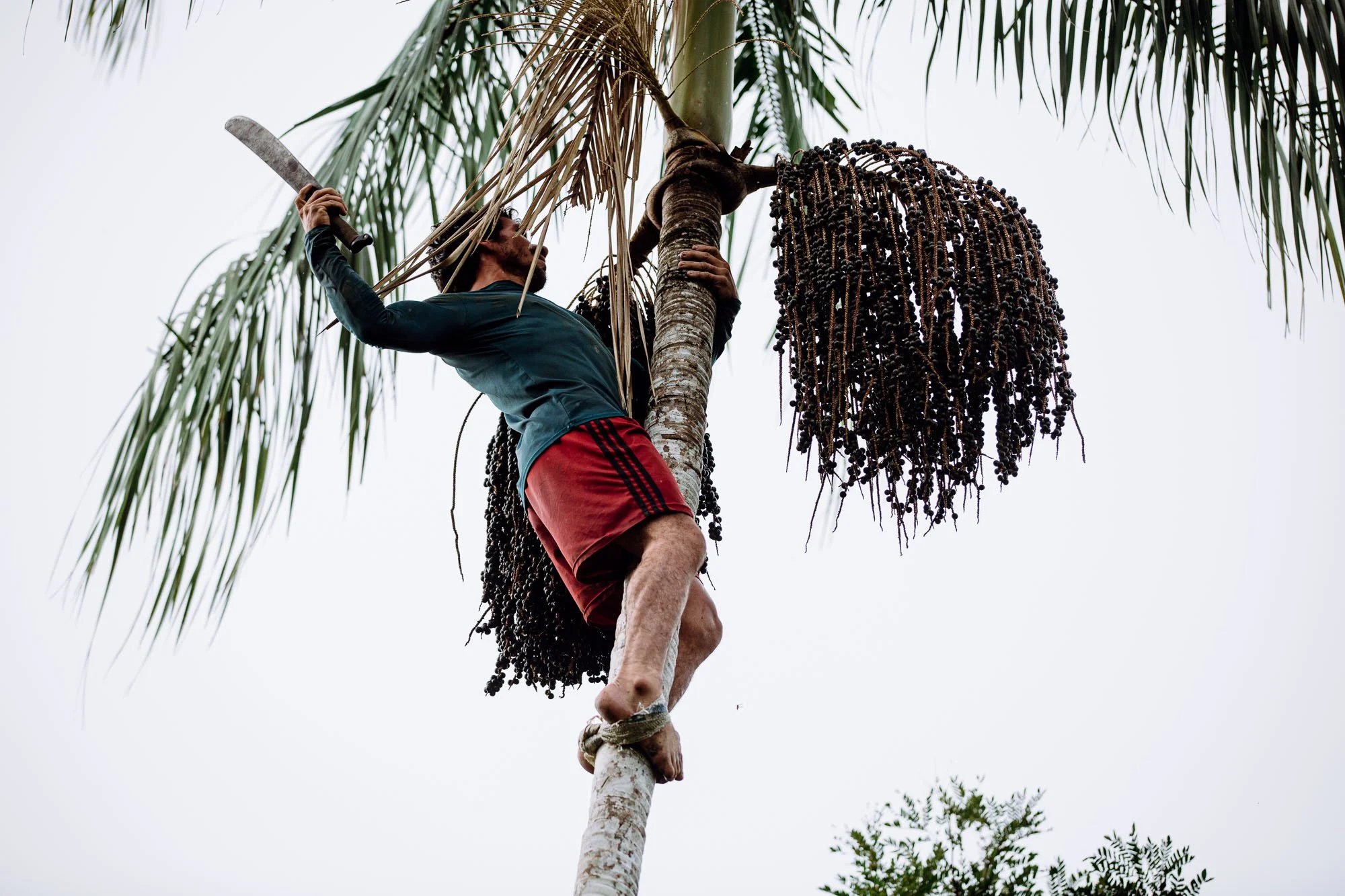 Cotidiano ribeirinho22.jpg