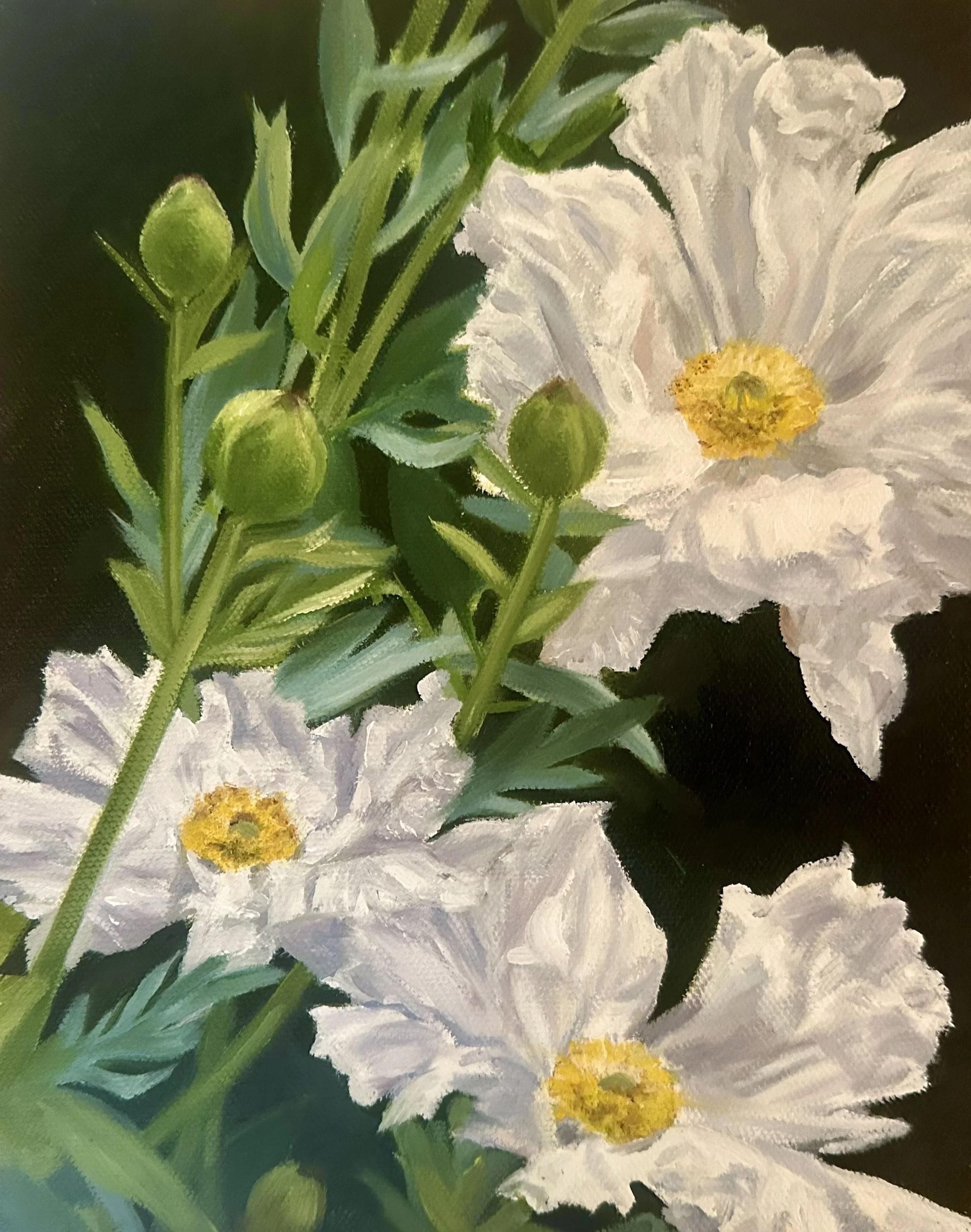 Sunny Side Up, Oil, 10 x 8