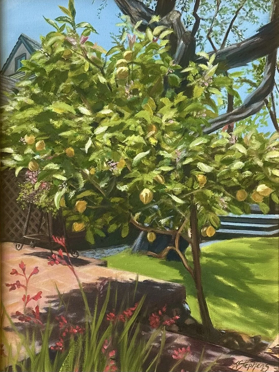 Variegated Lemon, Oil, 16x12