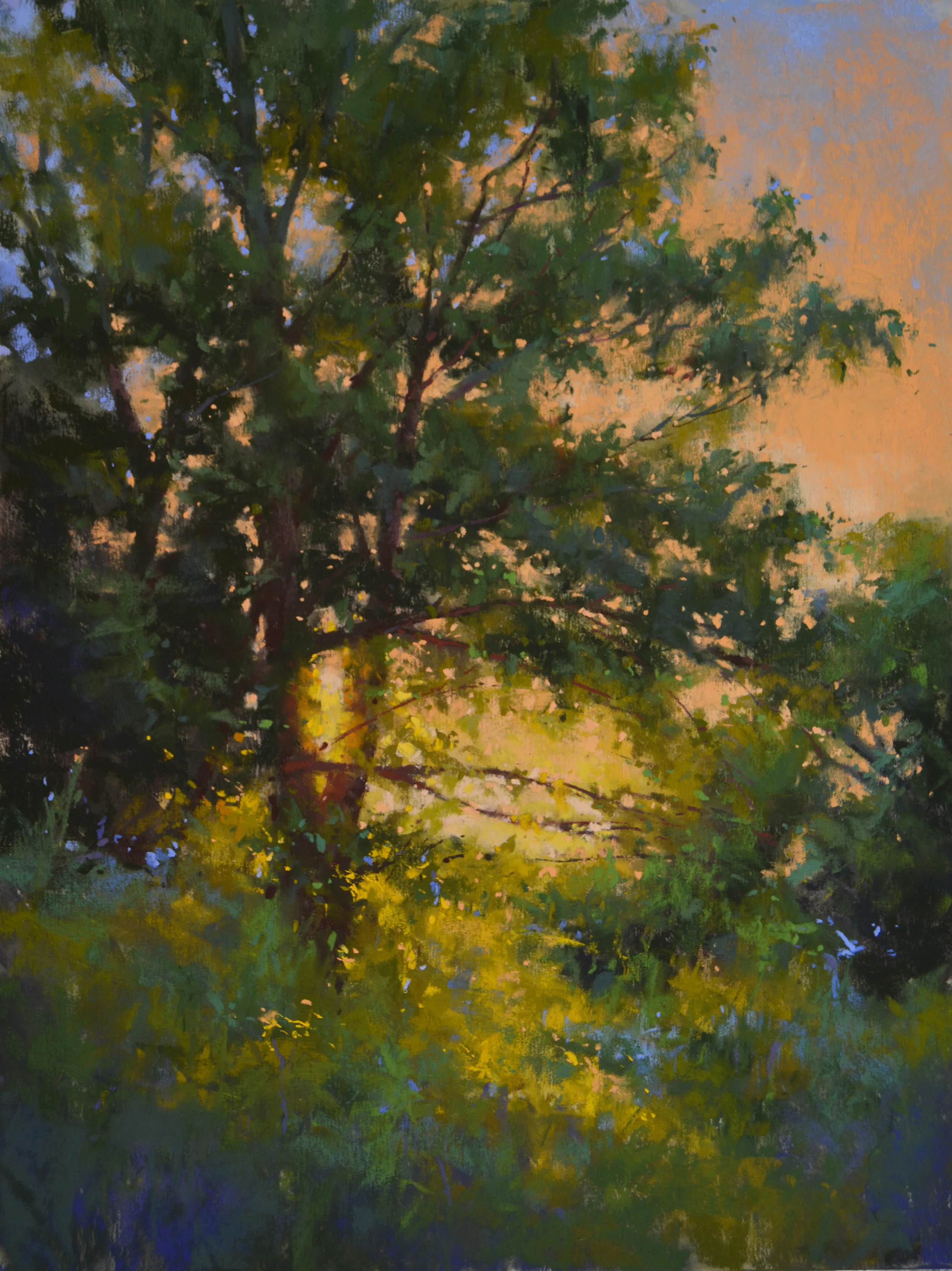 Warm Glow, 16 x 12 pastel
