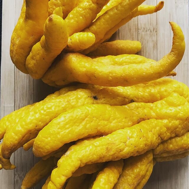 Buddha hands or busshukan. These crazy looking citrus have been used since ancient times as medicine and for good luck in Japan. The scent is very delicate and light and it&rsquo;s funny because I feel like it tickles me inside to bring about this jo