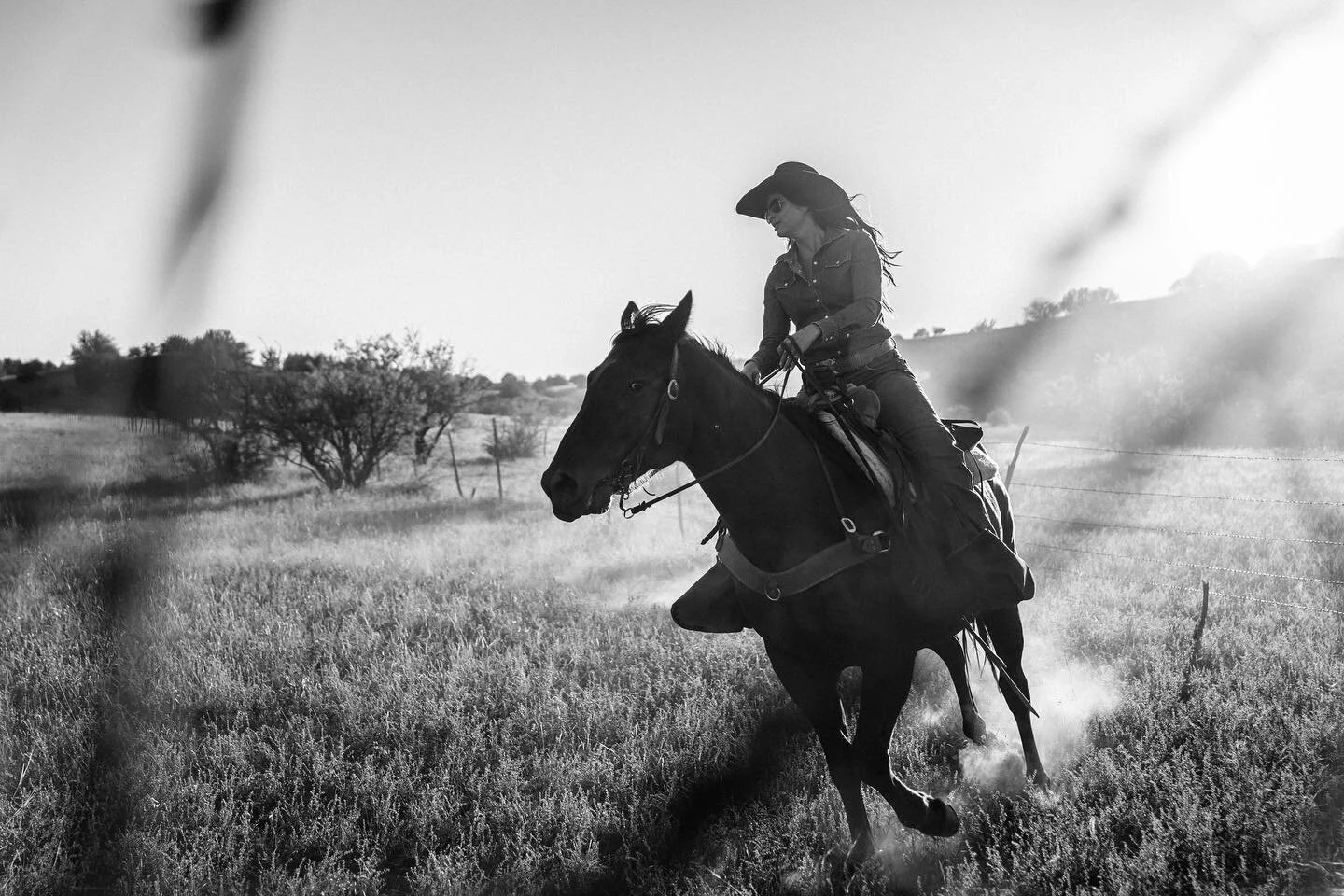 AZ // @arizona_blues_ @tyler.mae_ // for @8fa.creative