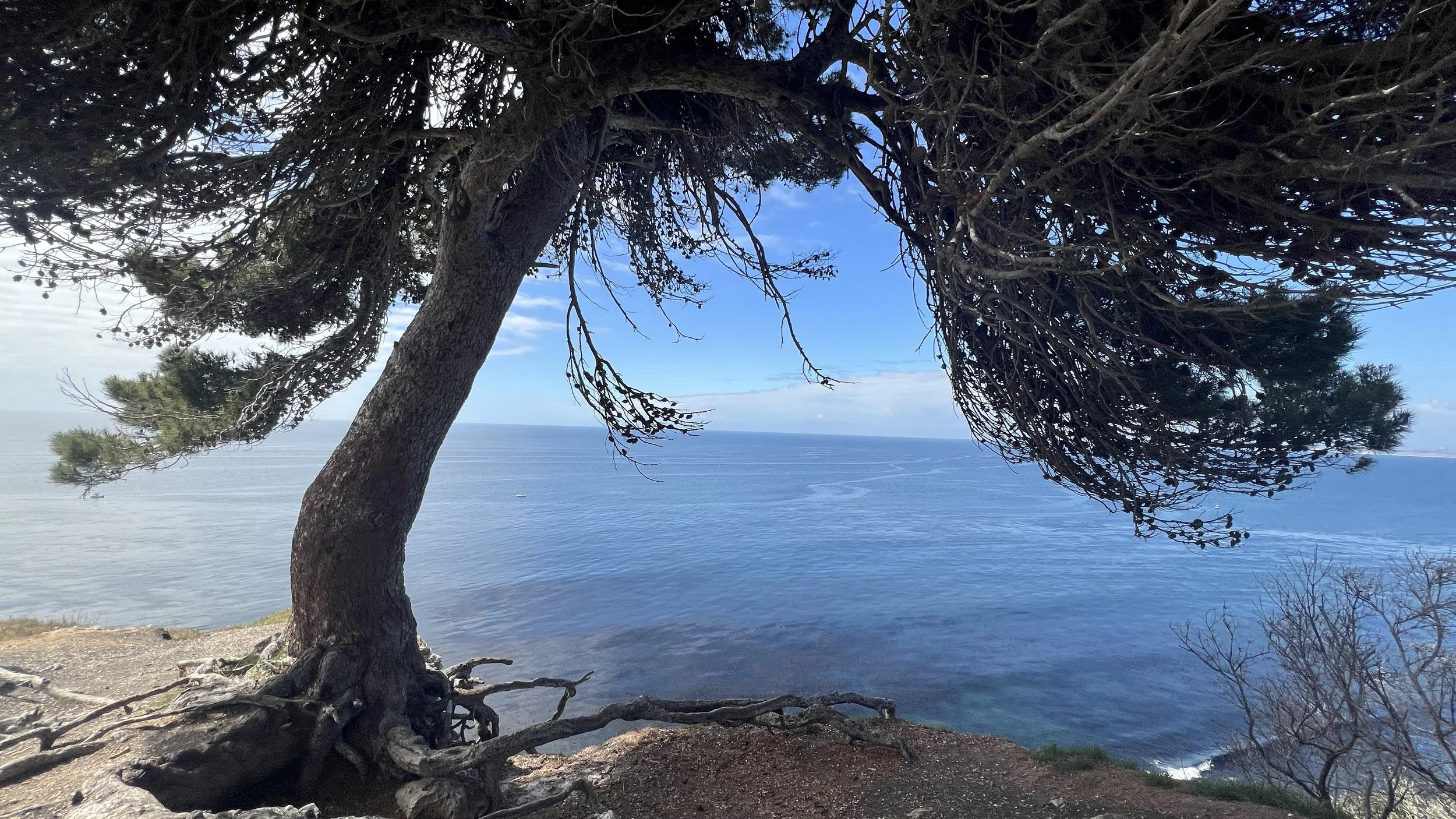 An Aural Cleanse: Part 1