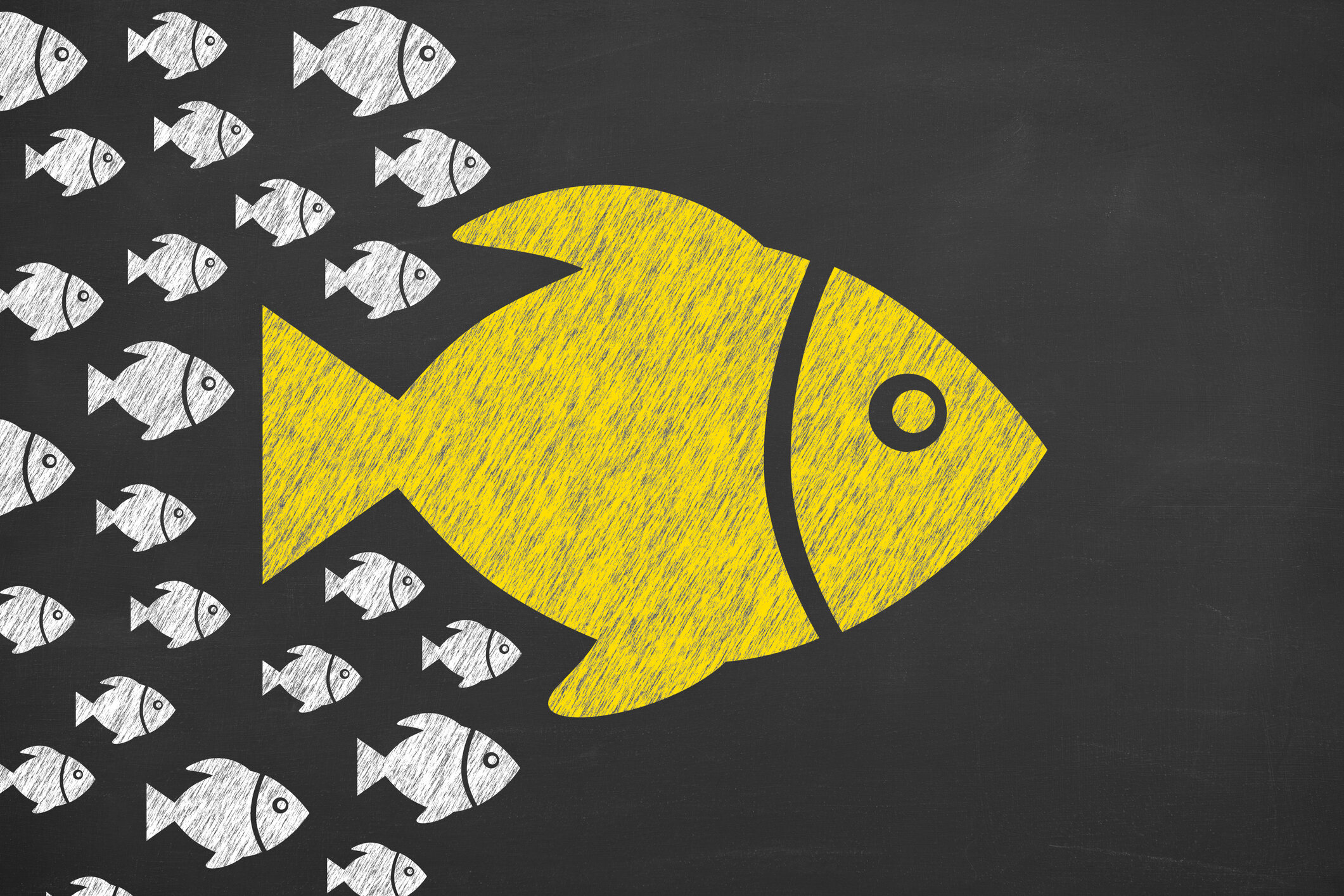 Generation IX Project: Mentorship Virtual Program 2020