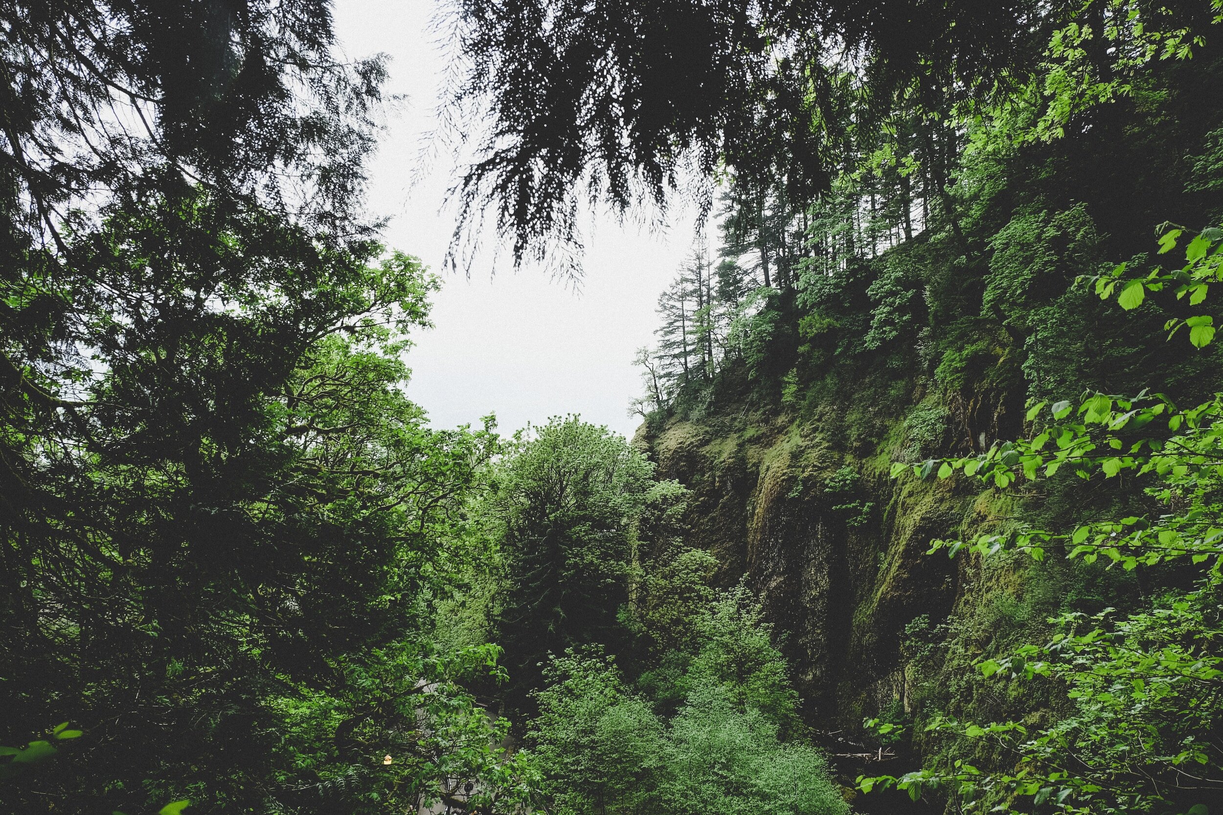 PNWBD Pathfinders Route Map