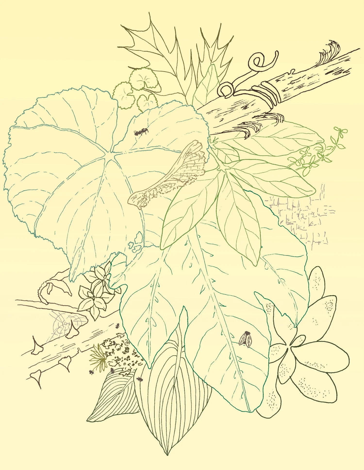 Leaves, Succulents, Sharp Branches