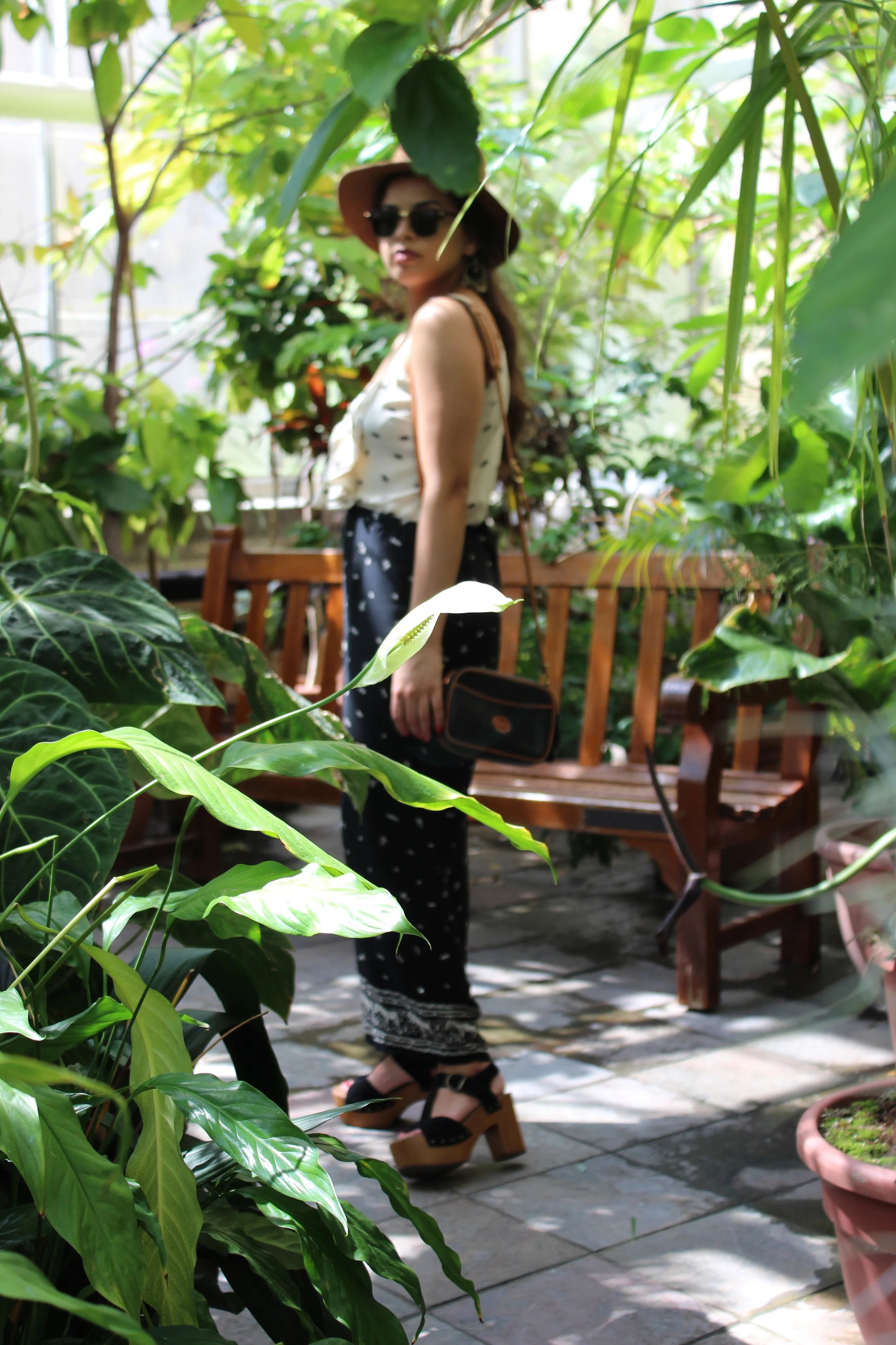 Welcome to the Jungle