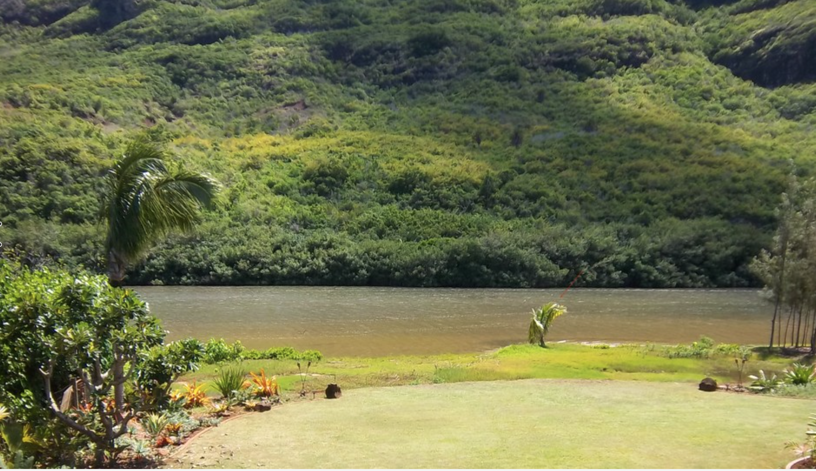 Screen Shot 2016-11-11 at 2.11.56 PM.png