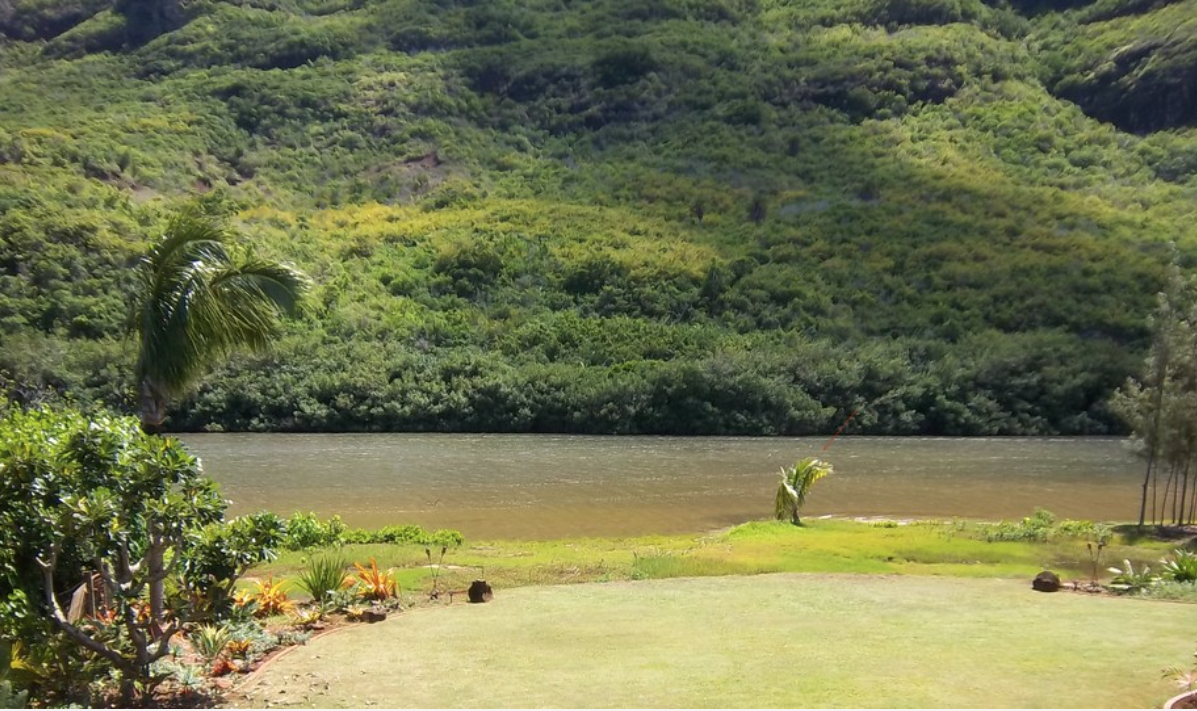 Screen Shot 2016-11-11 at 2.13.32 PM.png