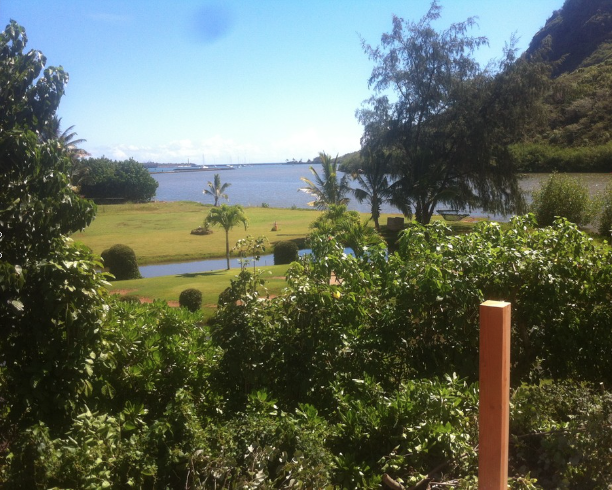 Screen Shot 2016-11-11 at 2.15.56 PM.png