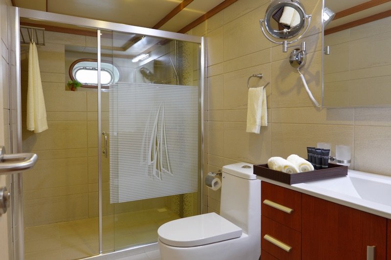 MALDIVES24 Blue Force Deluxe Cabin bathroom RESIZED.jpg