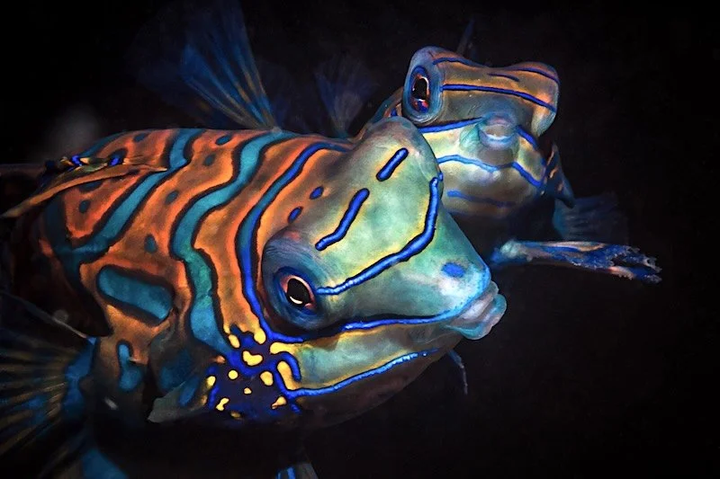 iStock-1998822044 RESIZED.jpg