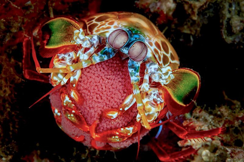 iStock-1420484957 RESIZED.jpg