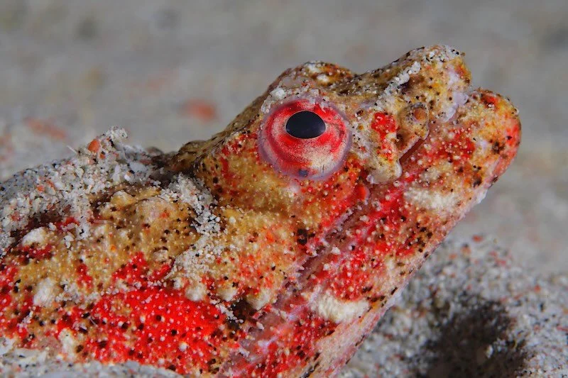 iStock-1407173296 RESIZED.jpg