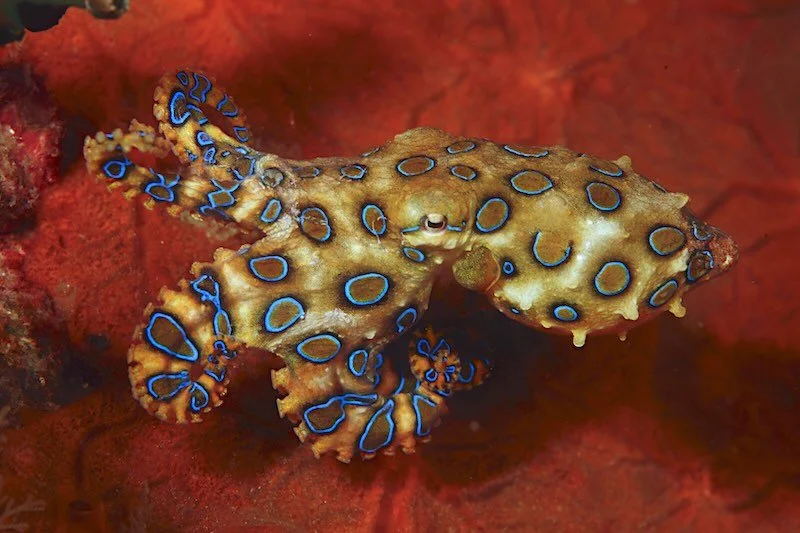 iStock-1394358741 RESIZED.jpg