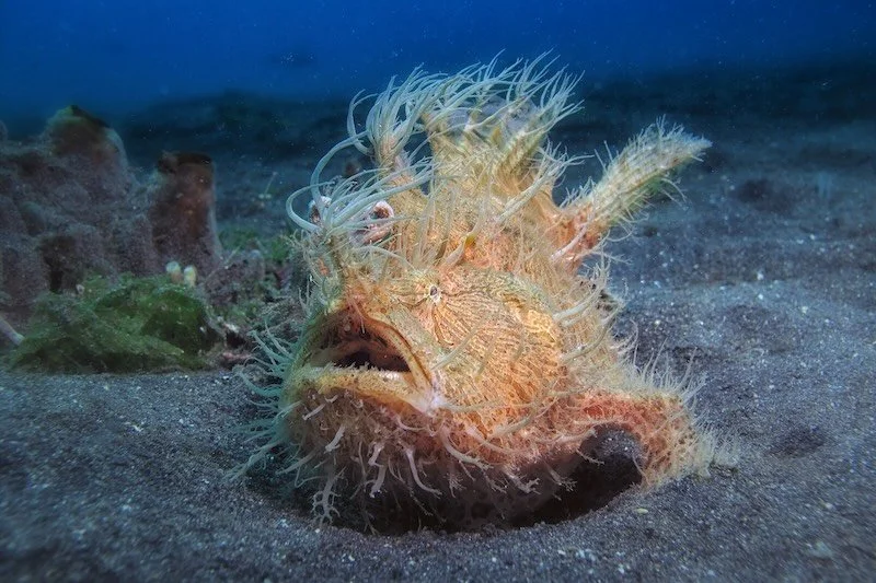 iStock-688369686 RESIZED.jpg