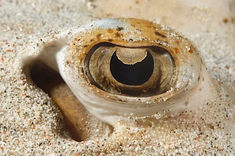 iStock-1400291428 RESIZED.jpg