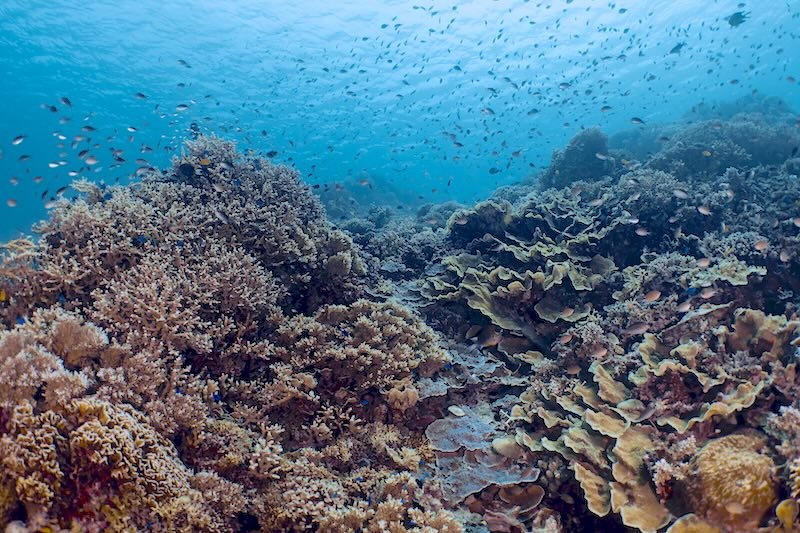 iStock-2225527551 RESIZED.jpg