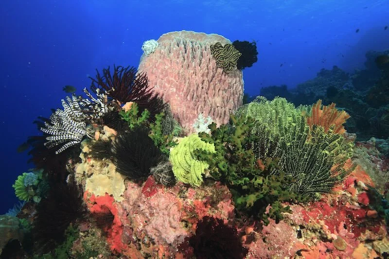 iStock-1413600762 RESIZED.jpg