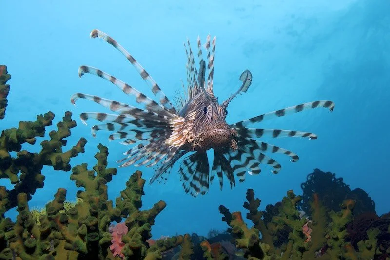 iStock-467068435 RESIZED.jpg