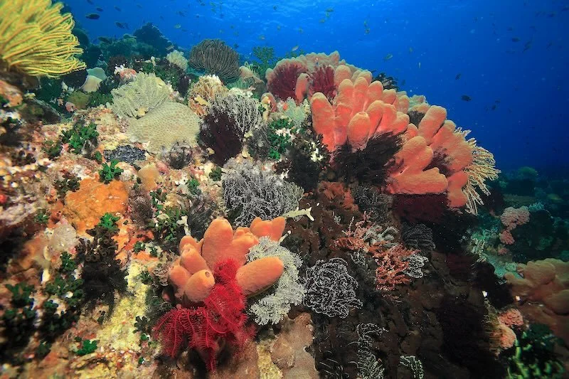 iStock-1413600711 RESIZED.jpg