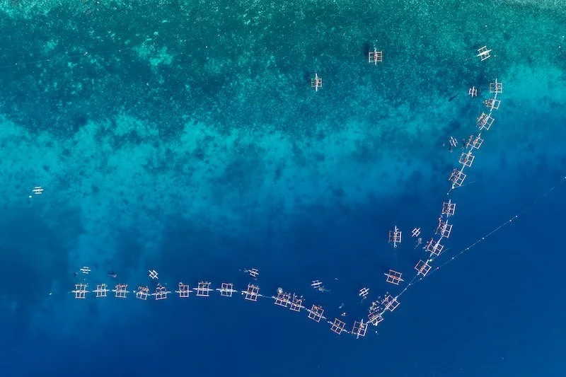 iStock-2182293694 RESIZED.jpg