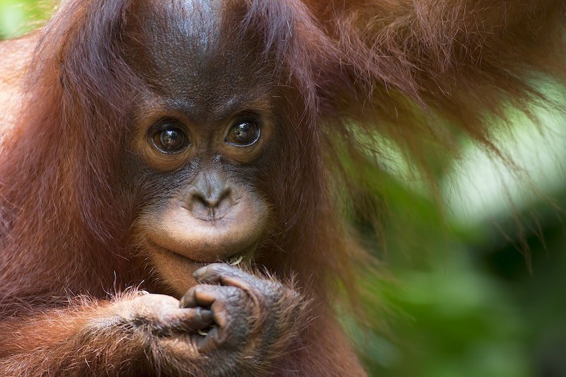 iStock-518173943 RESIZED.jpg