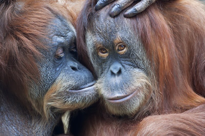 iStock-529066491 RESIZED.jpg