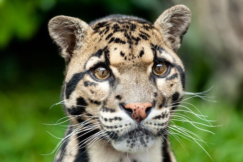 iStock-177434833 RESIZED.jpg