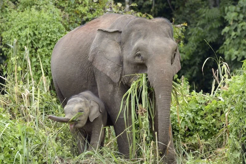 iStock-160736236 2 RESIZED.jpg