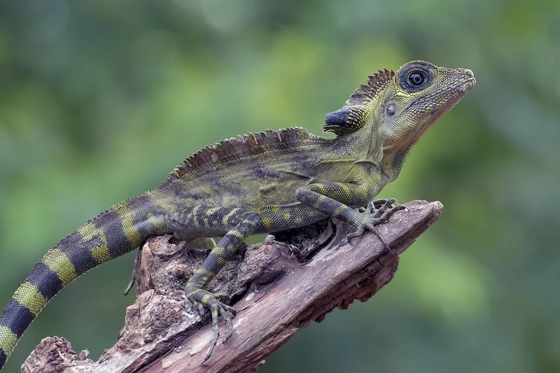 iStock-1496809278 RESIZED.jpg