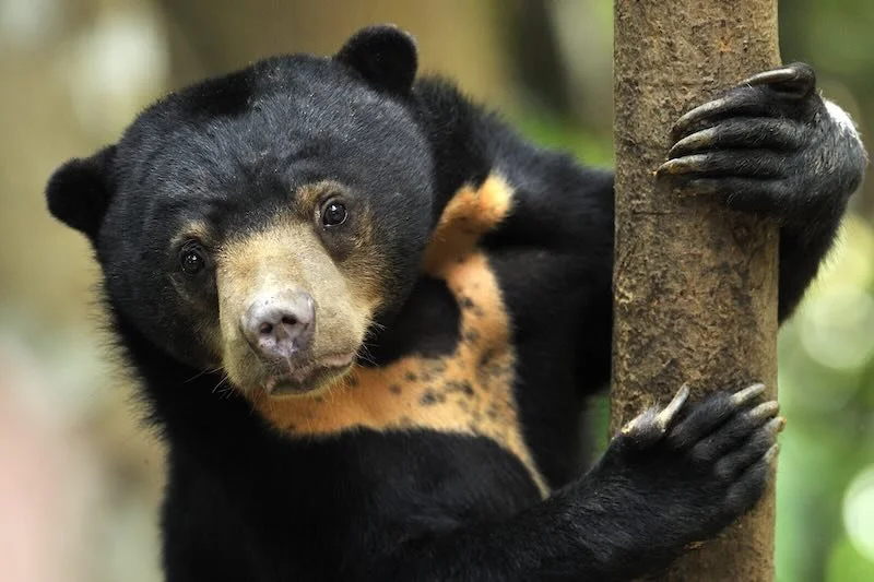 iStock-1324171351 RESIZED.jpg