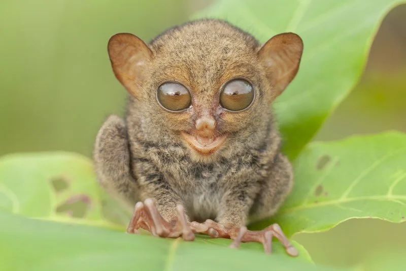 iStock-2217250110 RESIZED.jpg