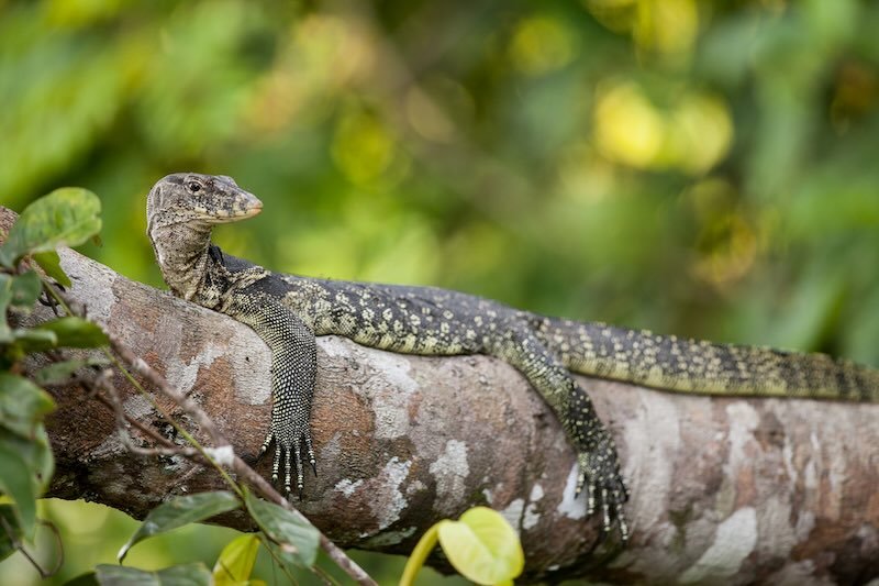 iStock-537583487 RESIZED.jpg