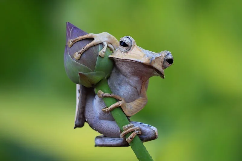 iStock-2024510958 RESIZED.jpg