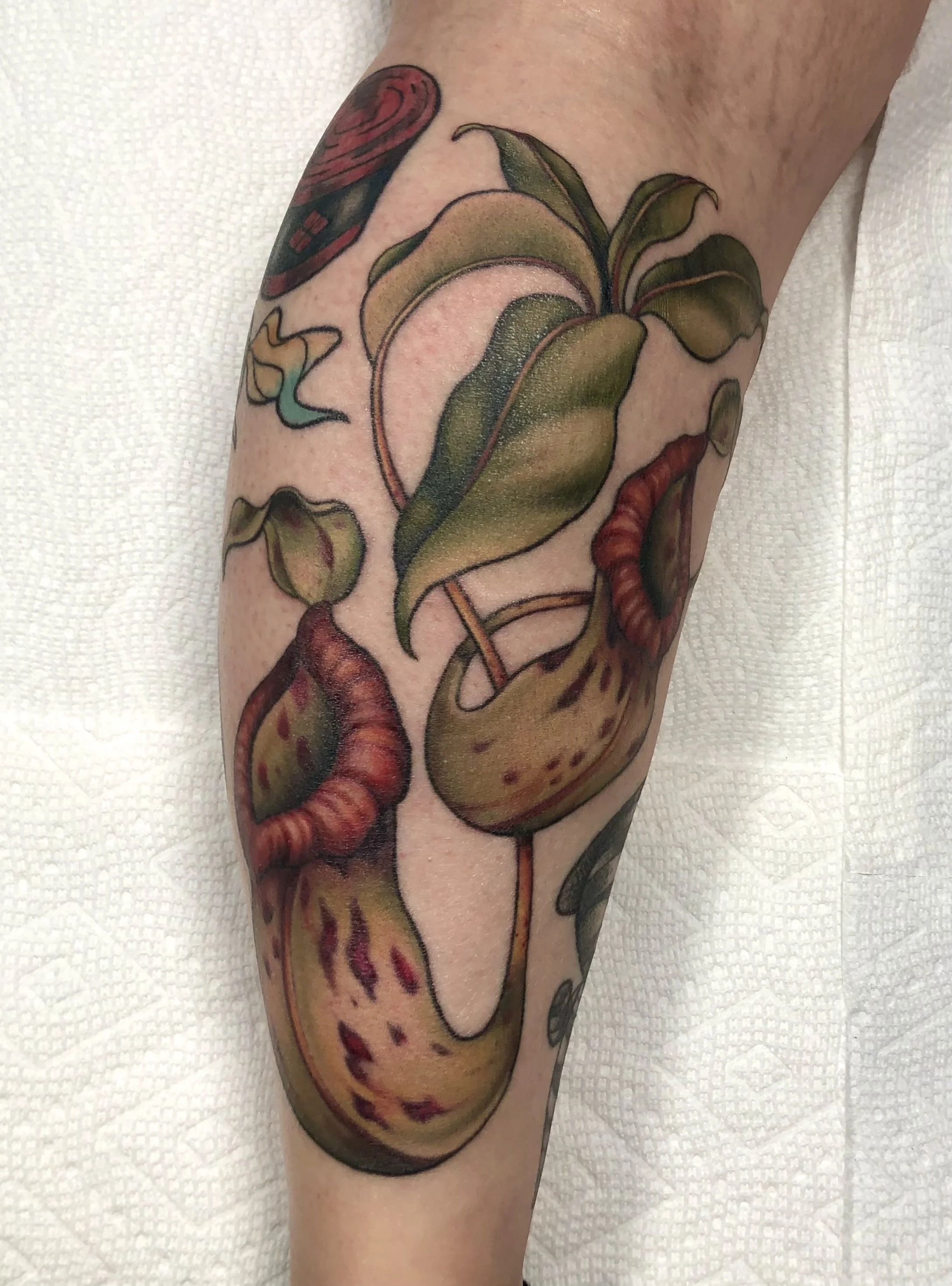 Leah crescent city tattoo evansville tattoo artist