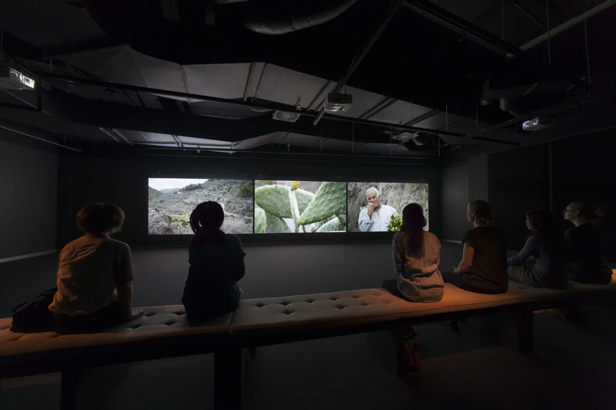 Installation view, Australian Centre for the Moving Image.