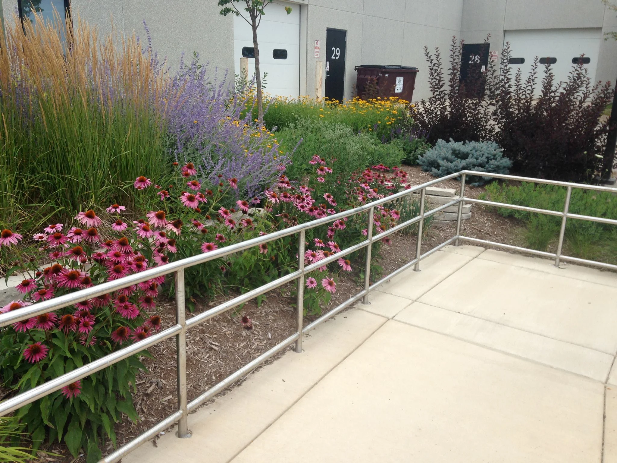 Commercial and Institutional Landscape Design