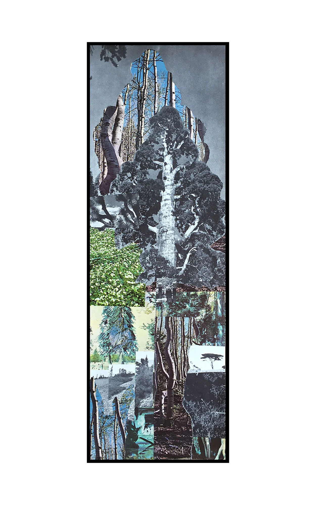 2015 — collaged paper