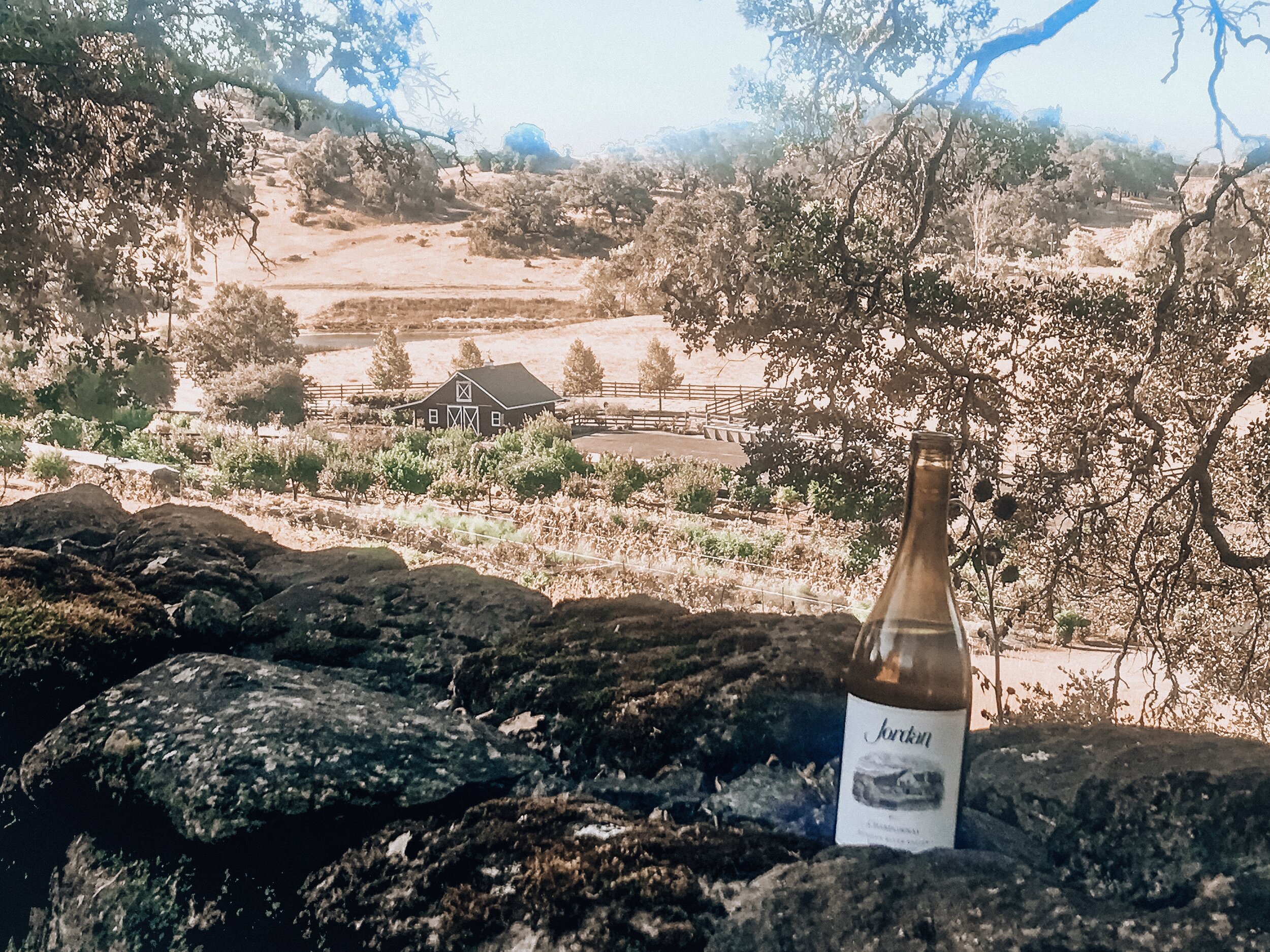 Travel & Champagne Jordan Vineyard and Winery Alexander Valley