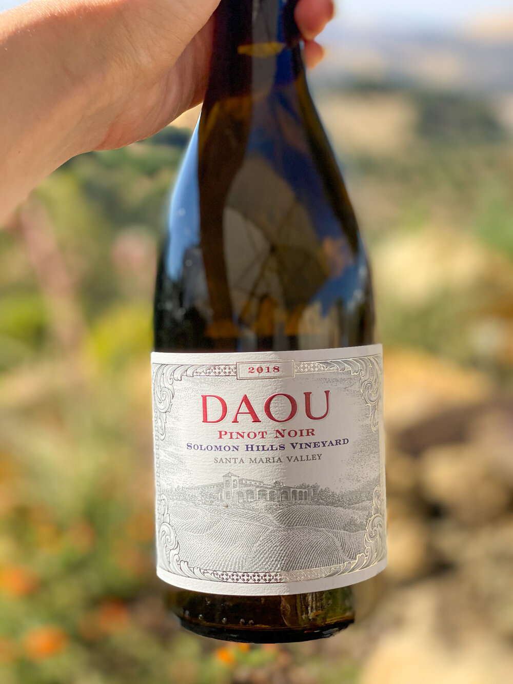 Daou Paso Robles Wine Country