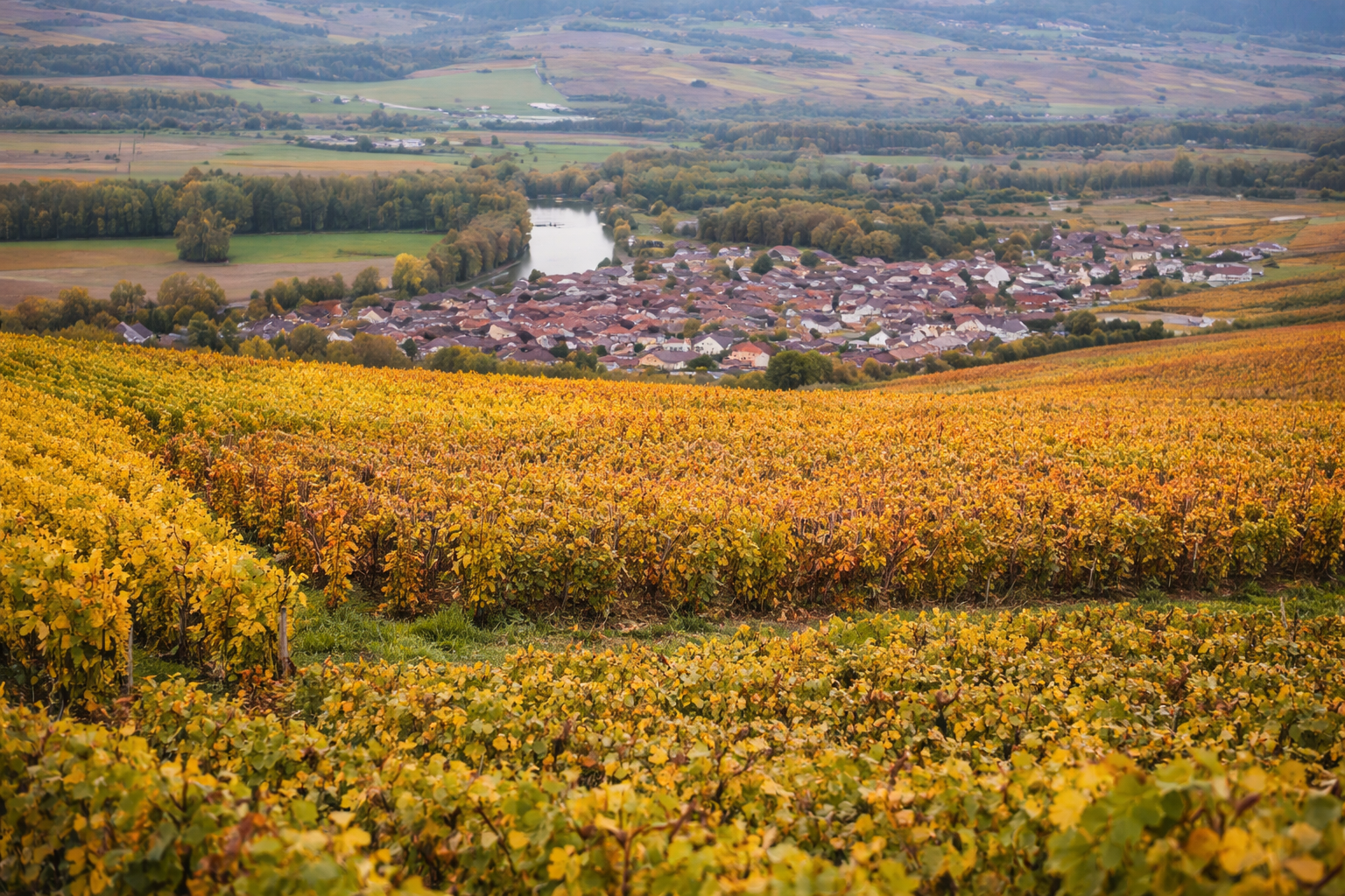 How to Visit Champagne from Paris: The Ultimate Guide to Reims and the Vineyards