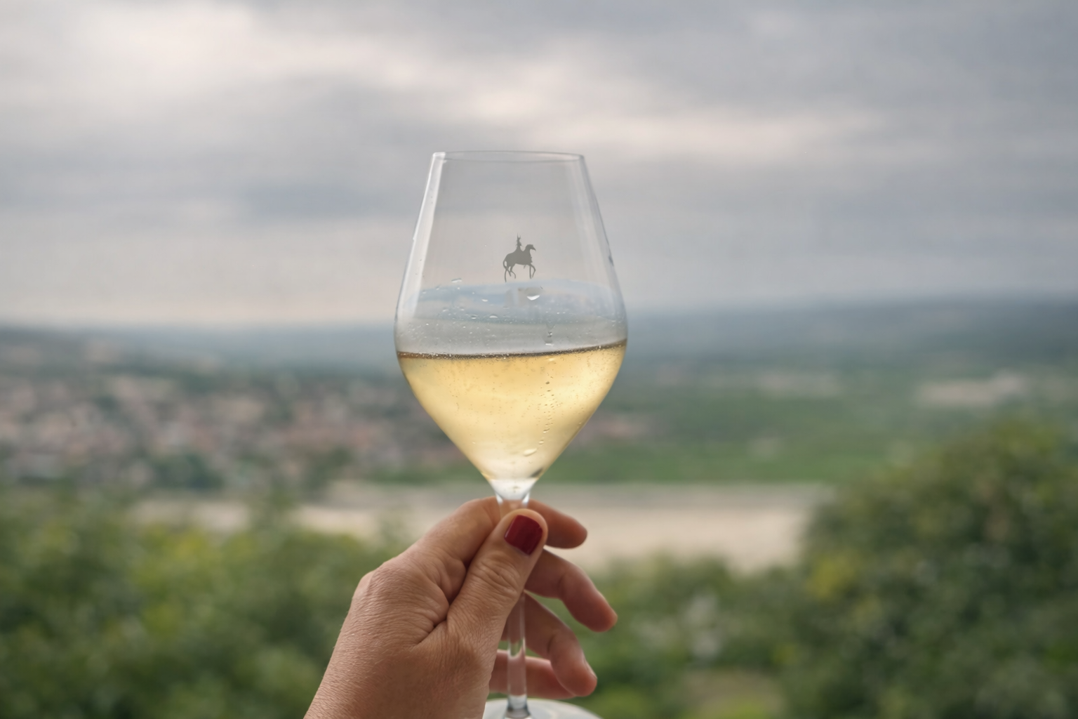 Travel and Champagne Luxury Champagne Tours Royal Champagne.png