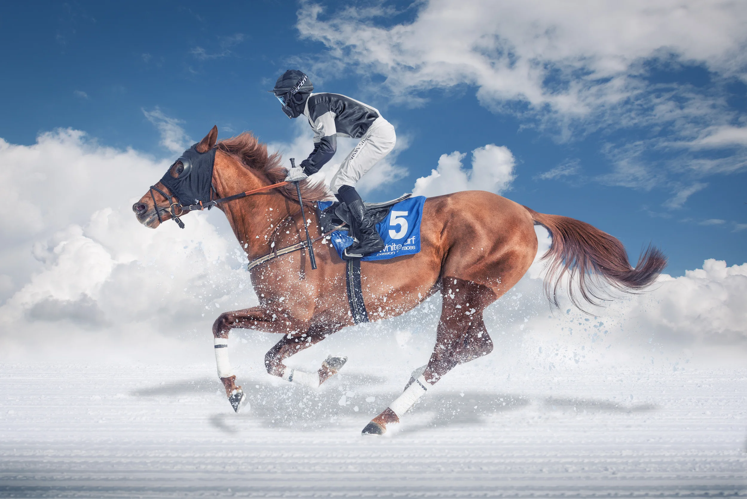 St. Moritz White Turf Finals 2013