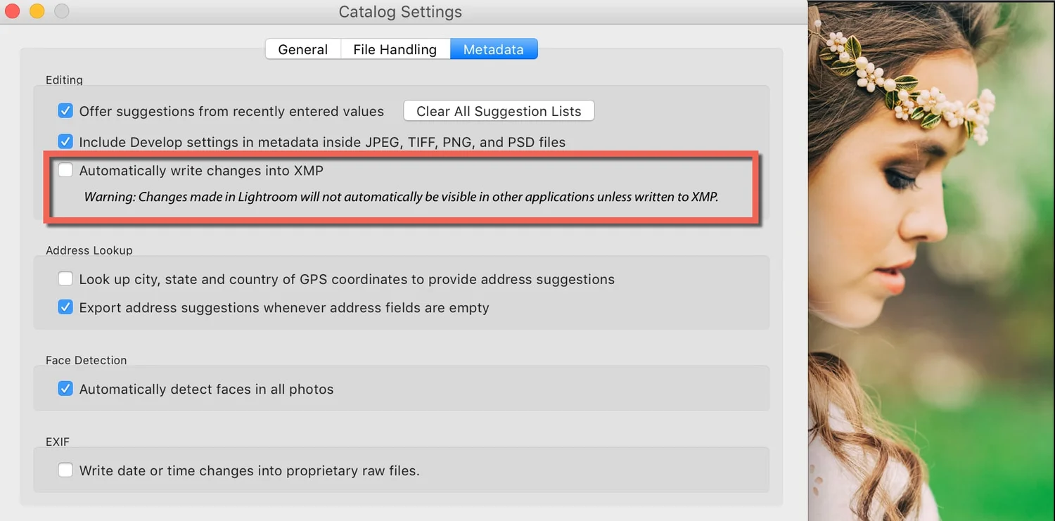 10 Useful Tips to Speed Up Lightroom